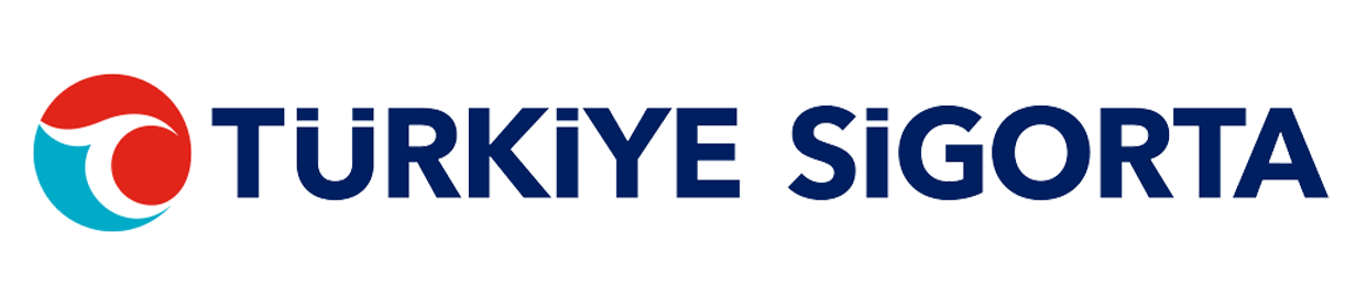 Çalışma yüzeyi 5